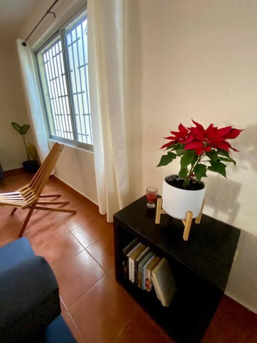 Peach35 Apartamento Centrico, 5 Min De La Playa Cancún Zewnętrze zdjęcie